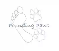 Pounding Paws