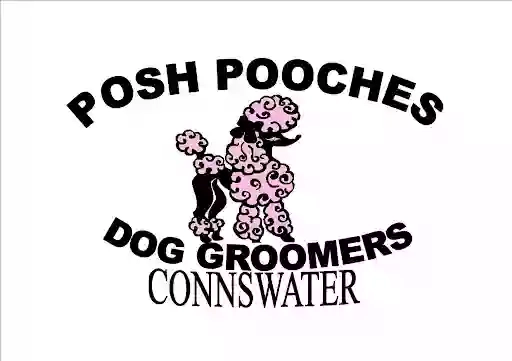 Posh Pooches Dog Groomers Connswater