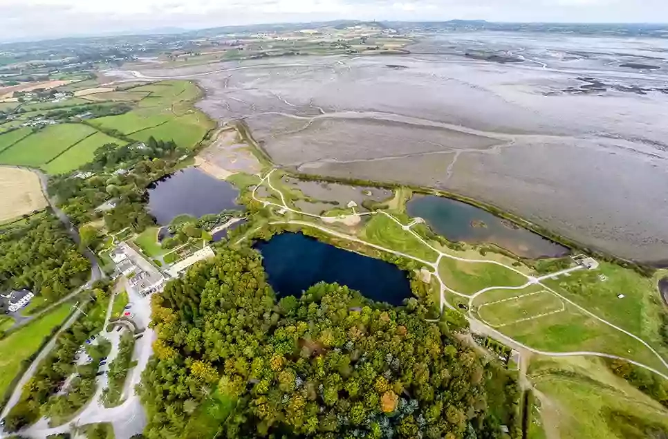 WWT Castle Espie