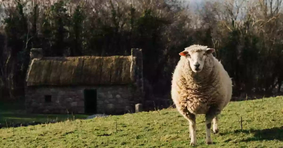 Ulster Folk Museum