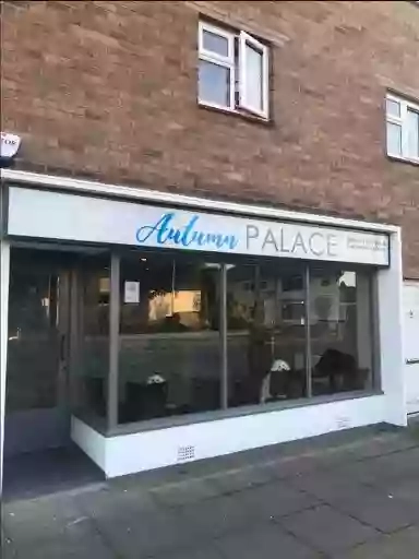 Autumn Palace (Chinese Takeaway in Tettenhall Wood)