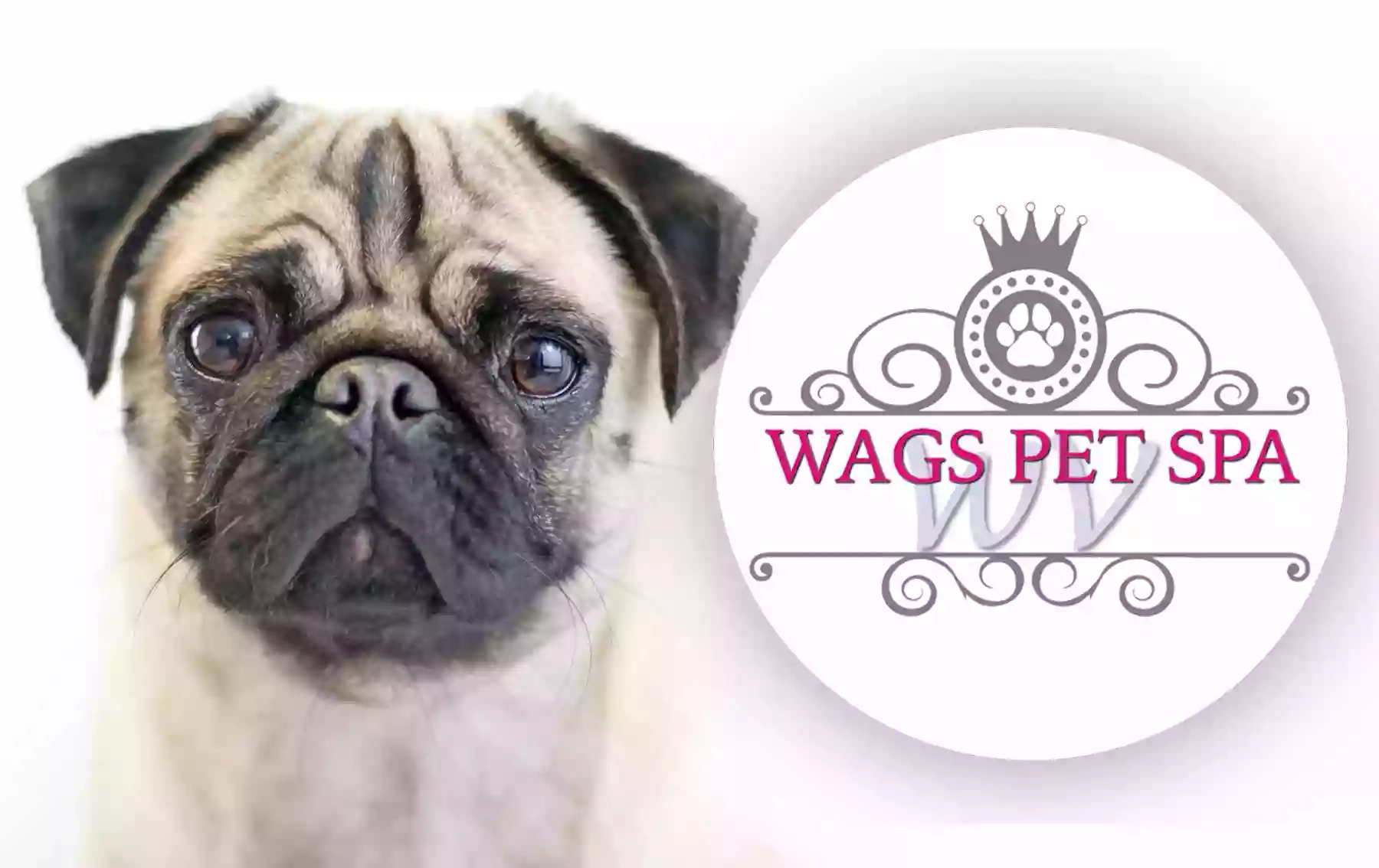 Wags Pet Spa - Dog Grooming & Shop Willenhall