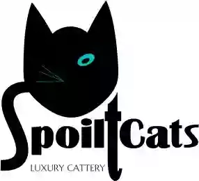 Spoilt Cats Cattery