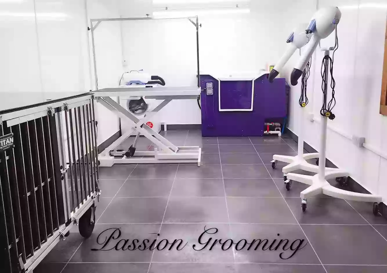 Passion Grooming Limited