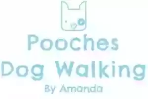 Pooches HUCKNALL dog Walking and Home boarding