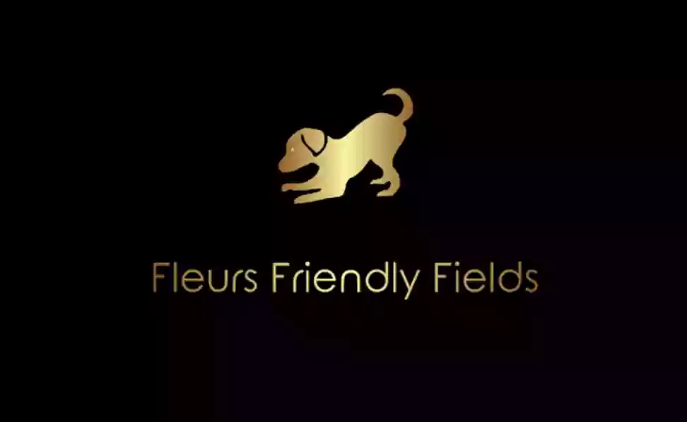 Dog Walking Field, Training, Day care and Grooming - Fleurs Friendly Fields