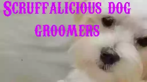 Scruffalicious Dog Groomers