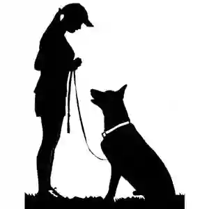 Watnall Training Services & Dog Walking A Need to Lead - serving NG16/ NG15 & surrounding area's