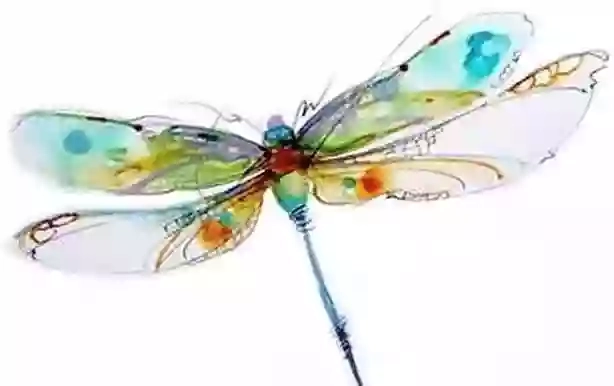 Dragonfly Counselling & Psychotherapy UK