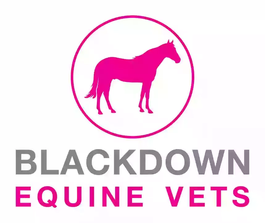 Blackdown Equine Practice