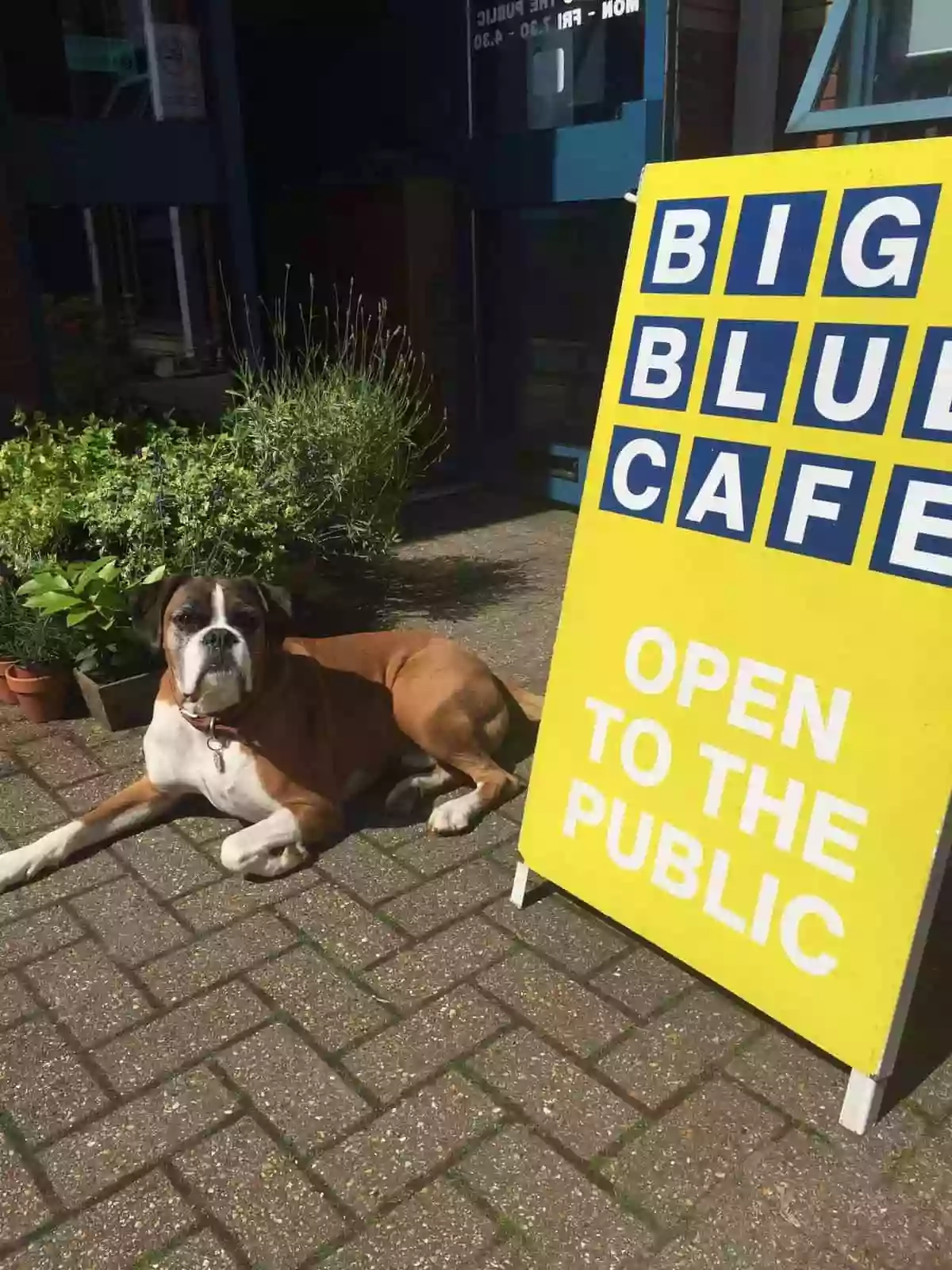 Big Blue Cafe