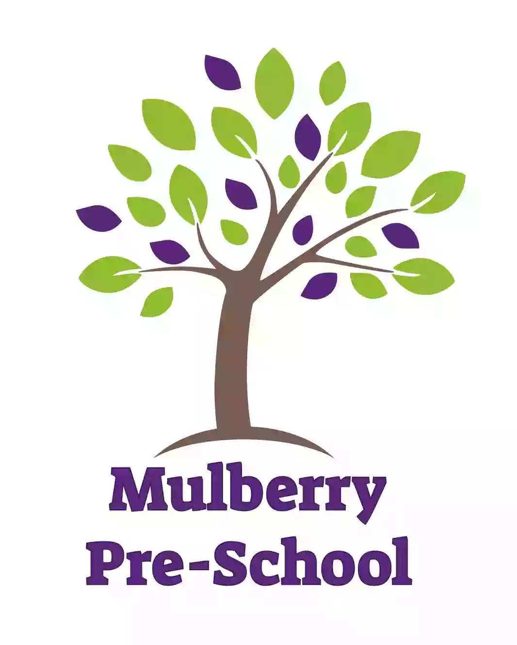 Mulberry Preschool Marchwood
