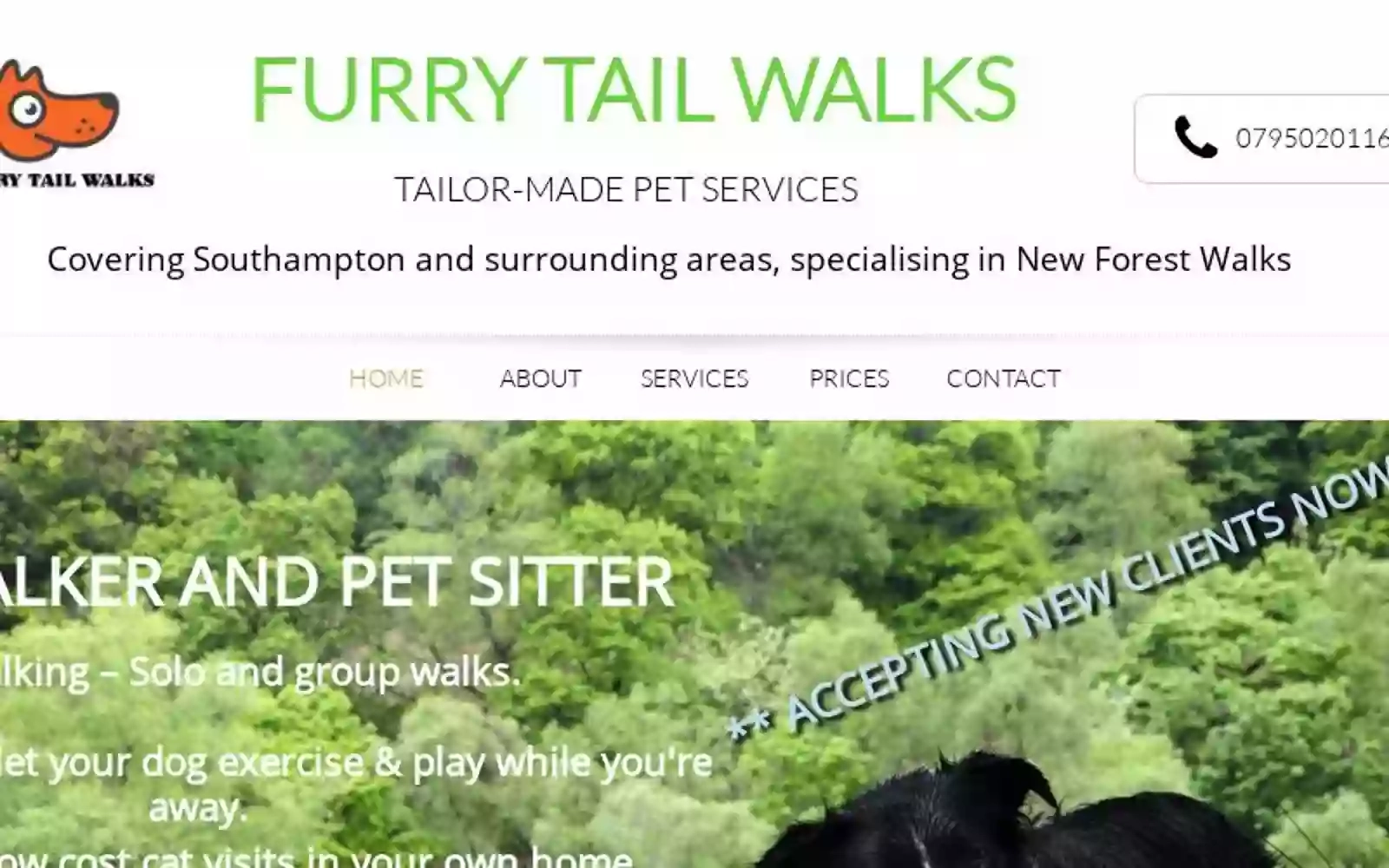 Furry Tail Walks Dog Walker and Pet Sitter Southampton