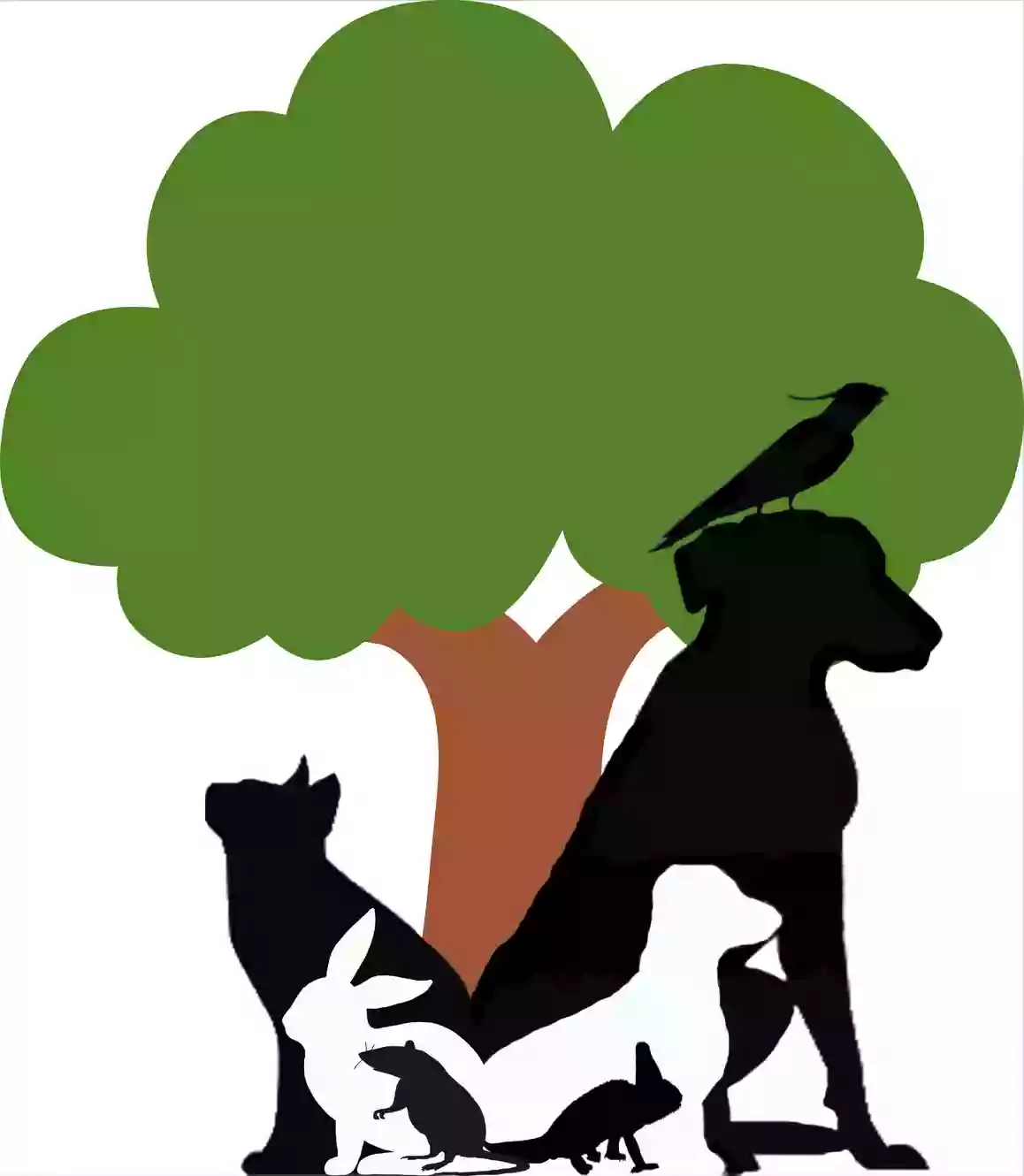 New Forest Pet Services