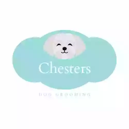 Chesters Dog Grooming