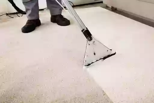 Carpet Cleaning Hedge End