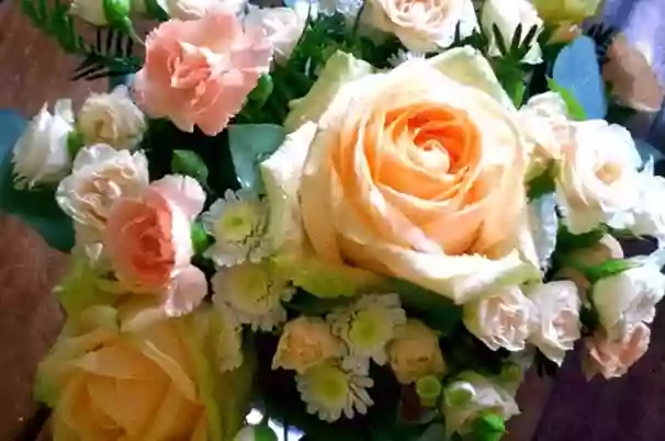 Belle & Blossom Florist