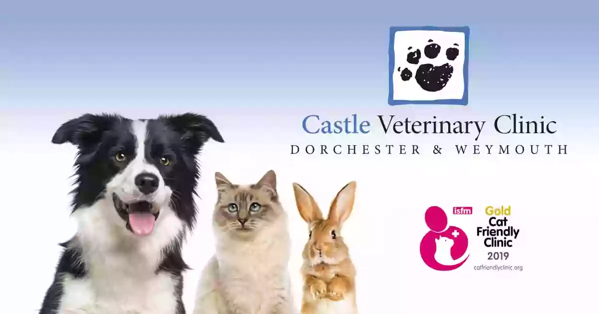 Castle Veterinary Clinic