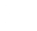 Peerless Executive