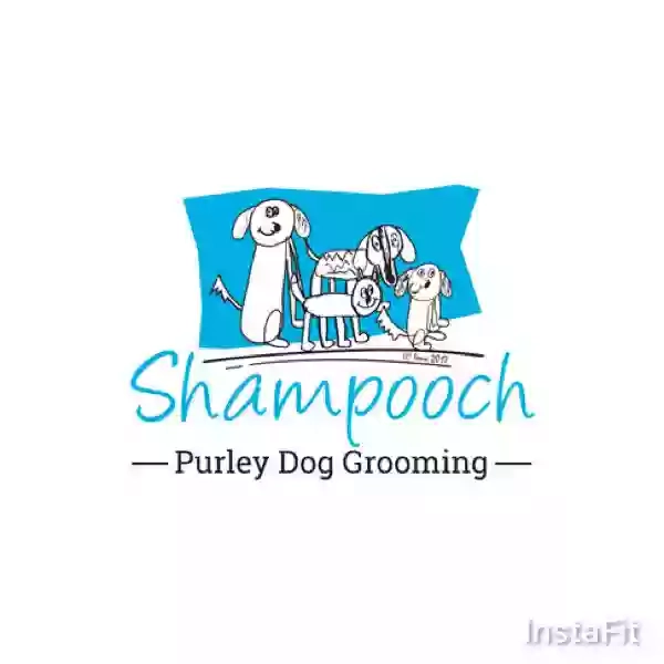 Shampooch Dog Grooming & Accessories