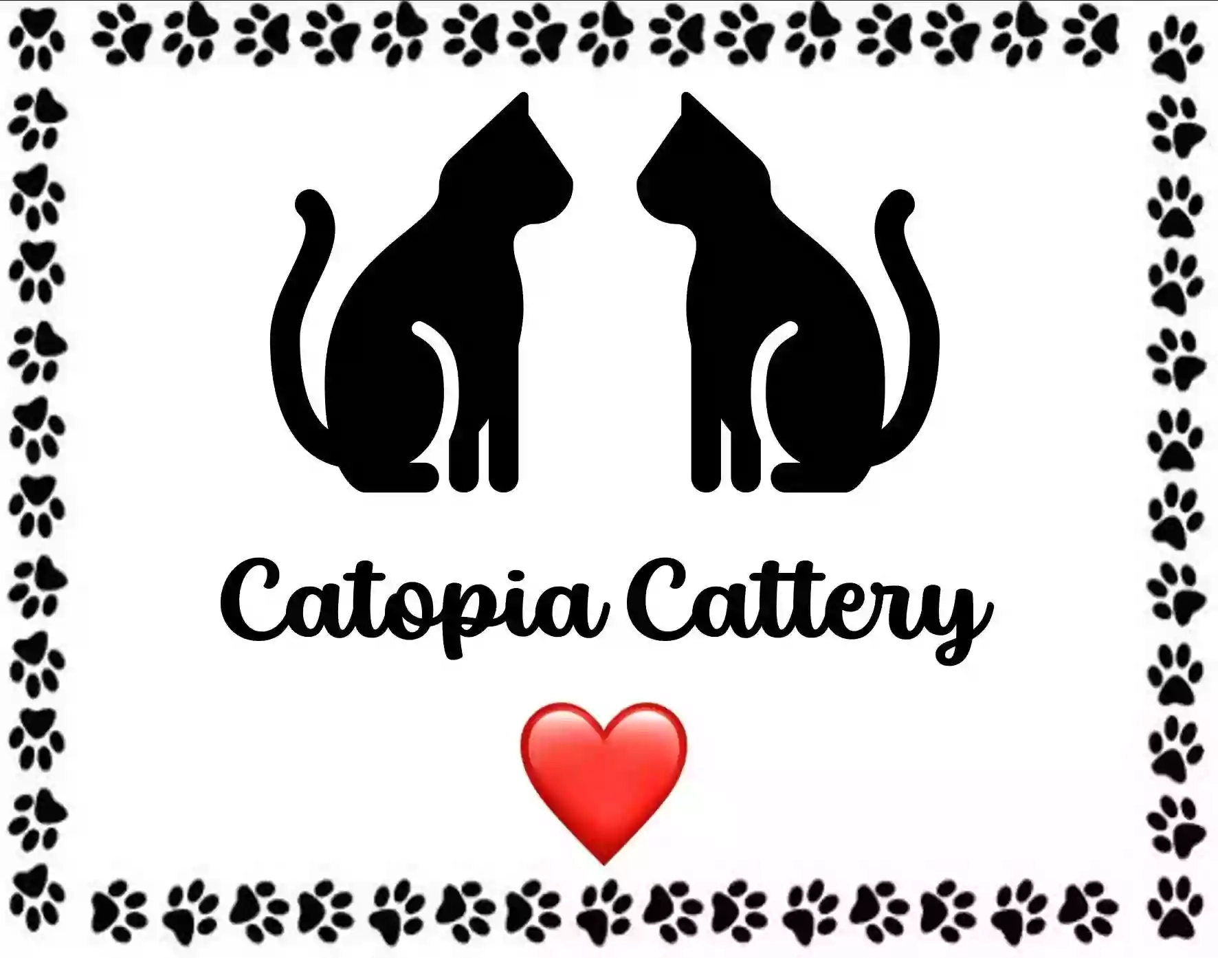 Catopia Deluxe Cattery
