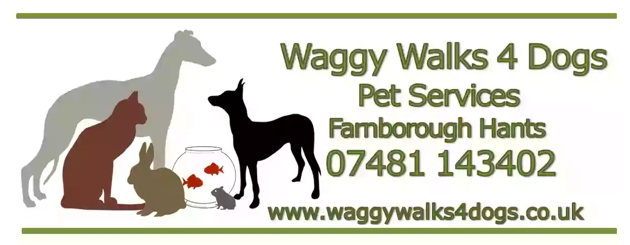 Waggy Walks 4 Dogs - Dog Home Boarding