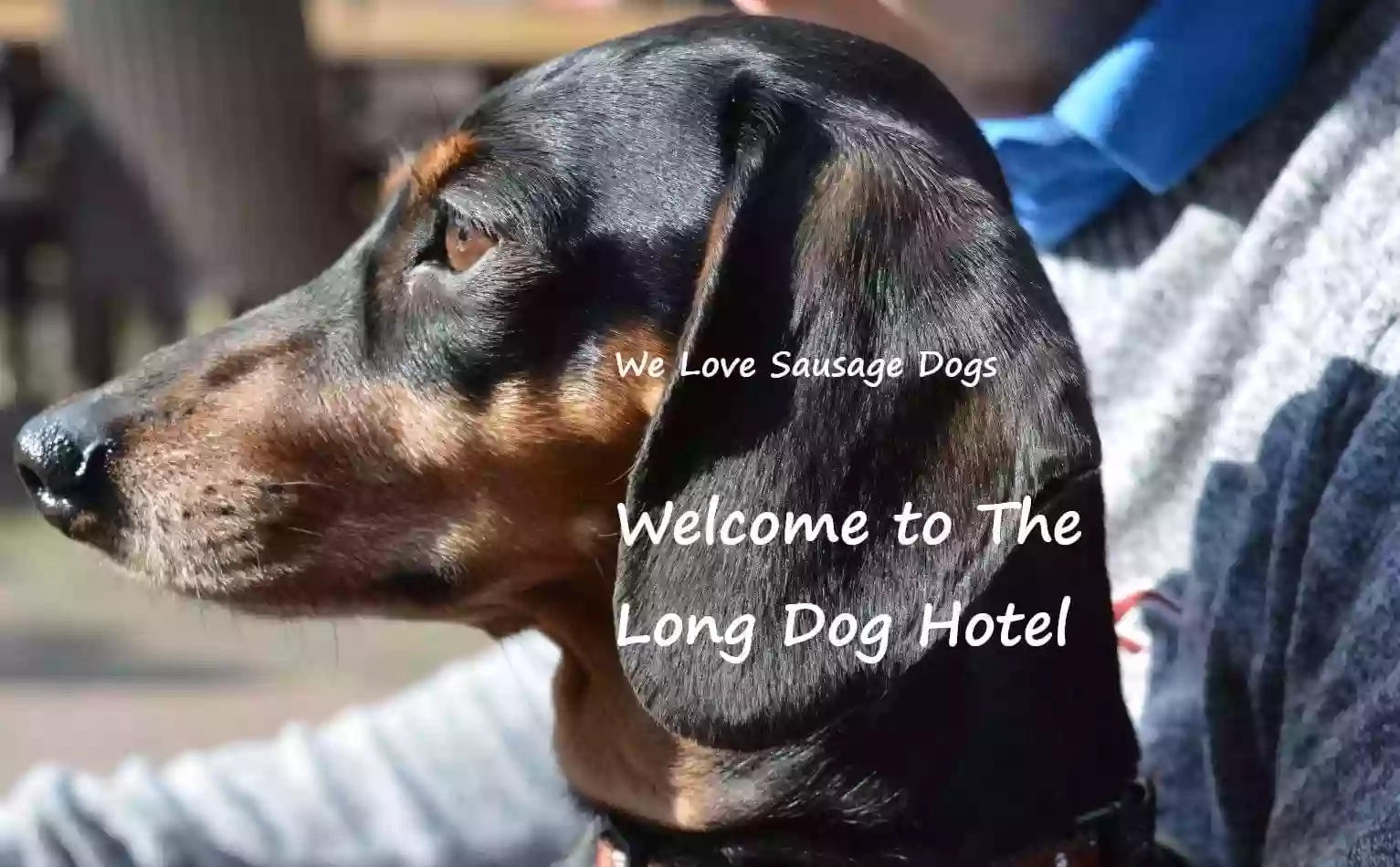 The Long Dog Hotel