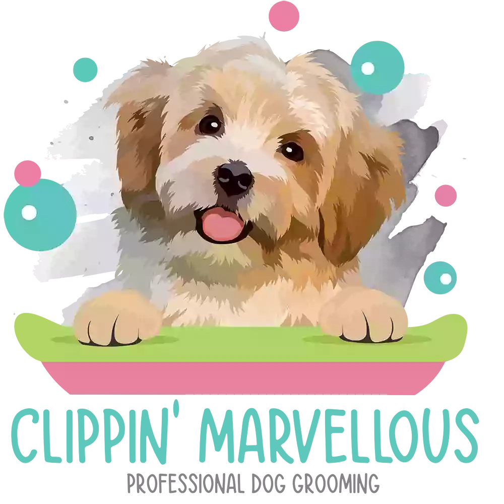 Clippin' Marvellous Dog Grooming