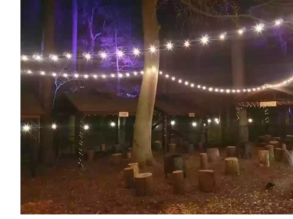 The Pub in the Woods