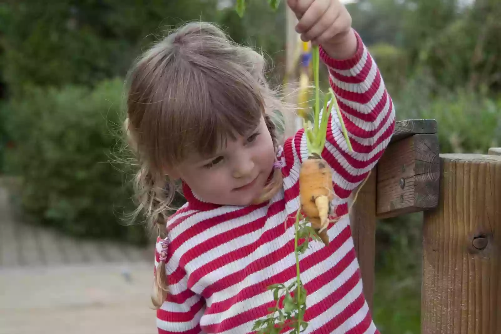 Loveders Nursery School