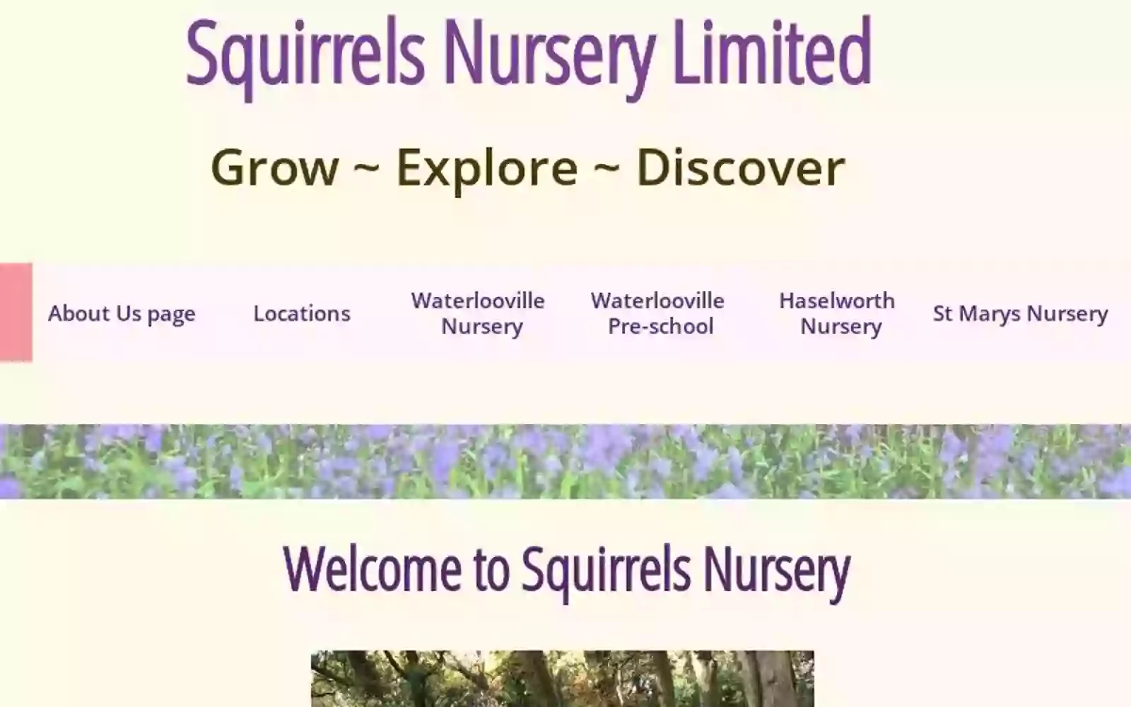 Squirrels Nursery