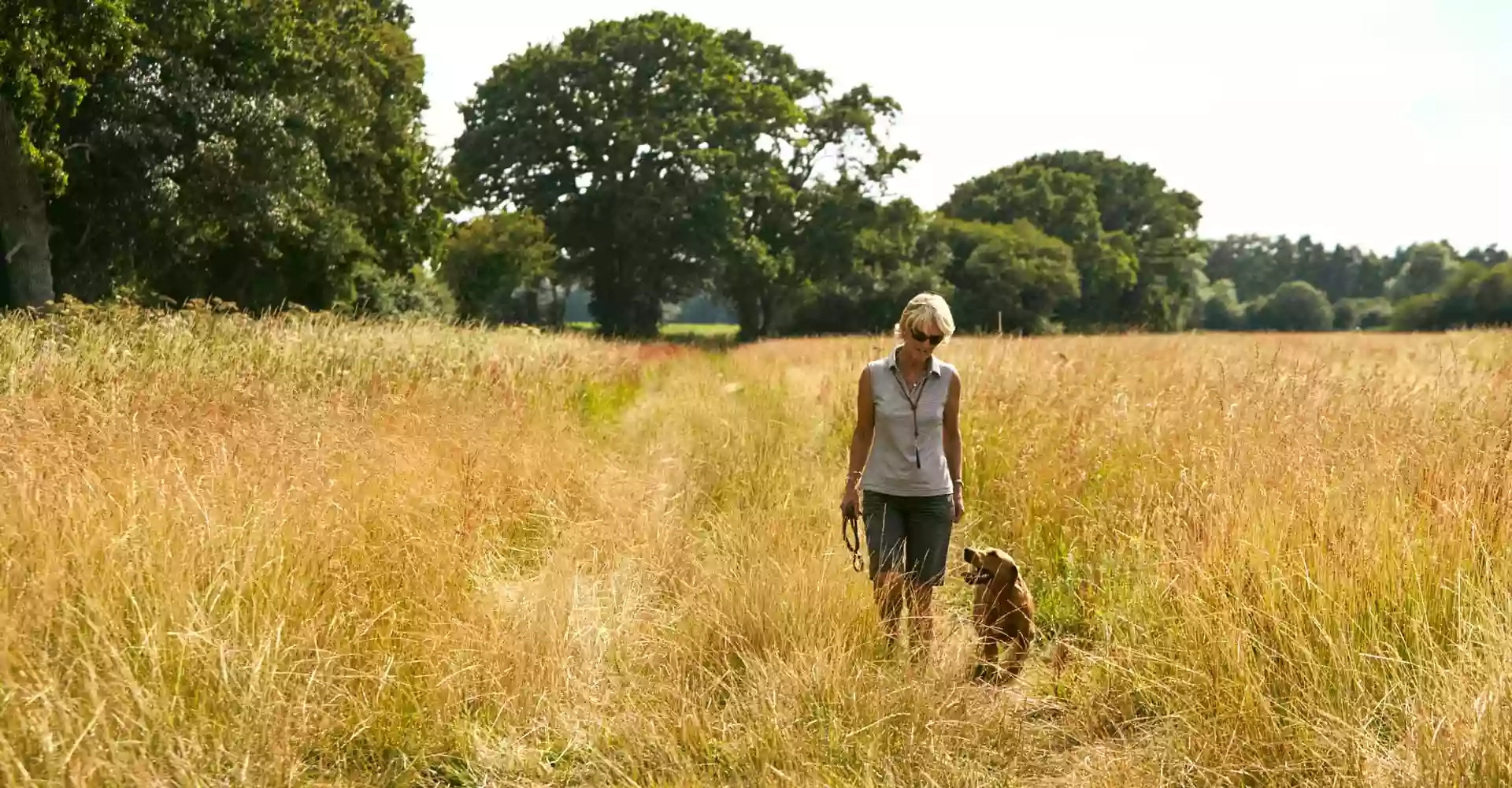 Paw Paddock - Portsdown Hill