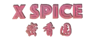 X spice Chinese Takeaway