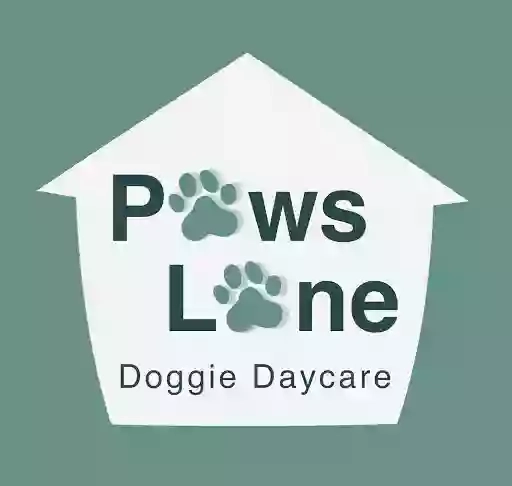 Paws Lane Pet Shop