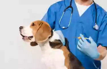 Naas Veterinary Clinic