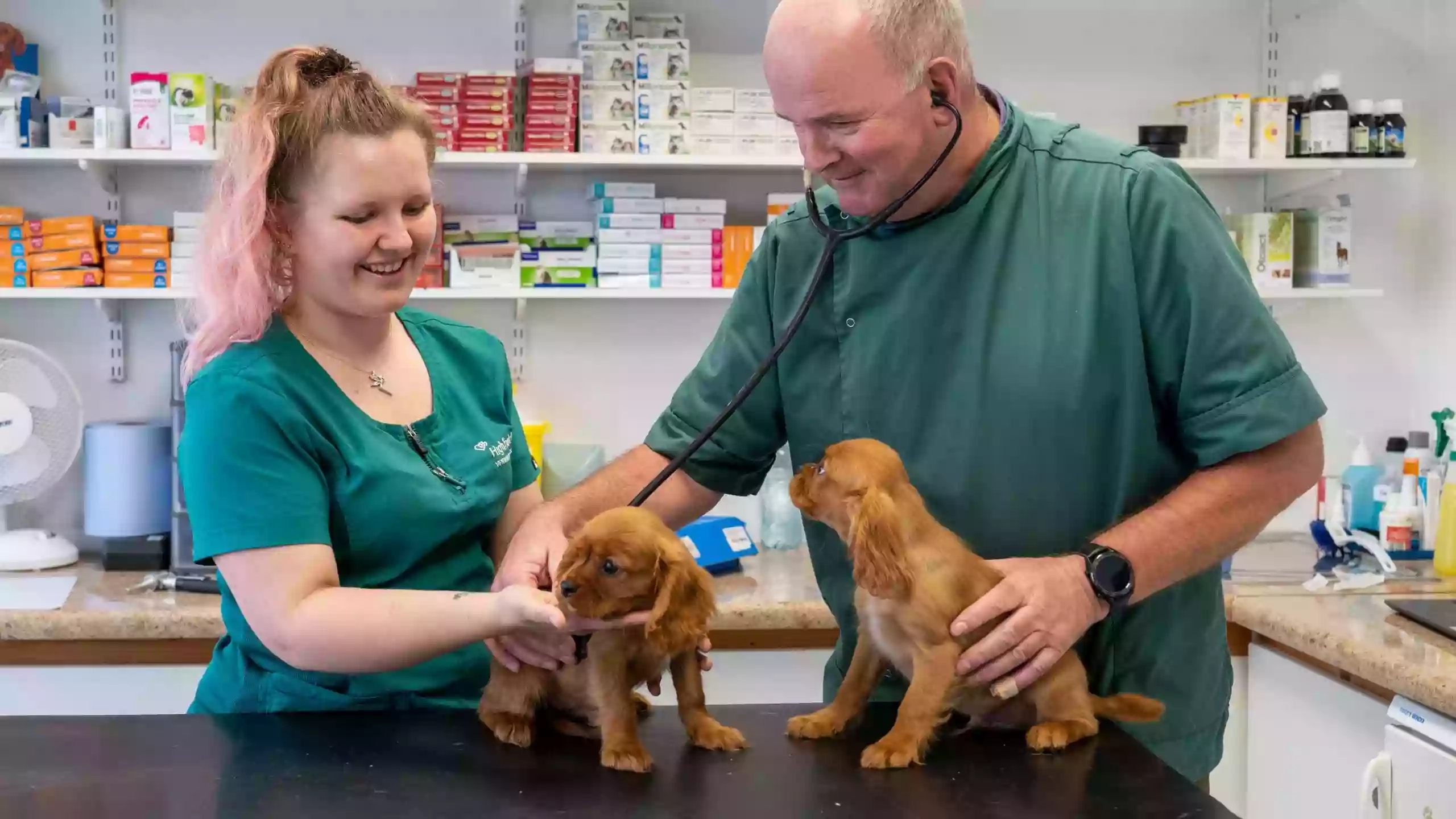 Highfield Veterinary Navan