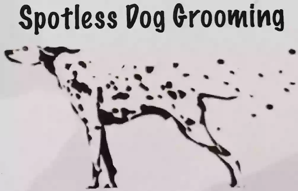 Spotless Dog Grooming