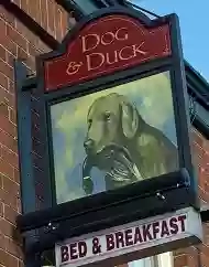 Dog & Duck Inn