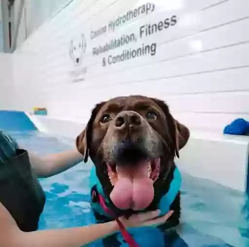 Fit4dogsuk LTD Canine Hydrotherapy Center