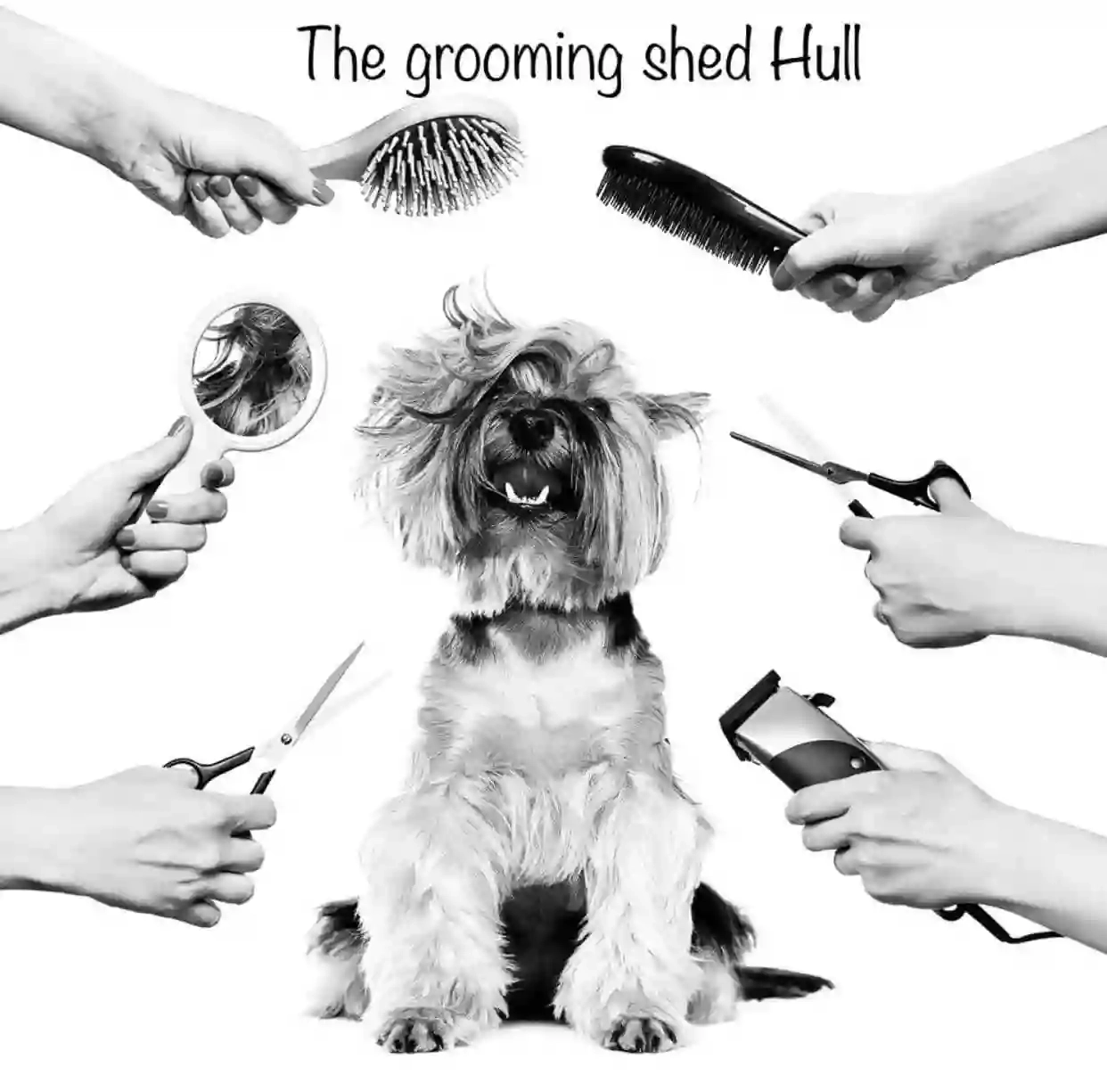 The Grooming Shed Hull