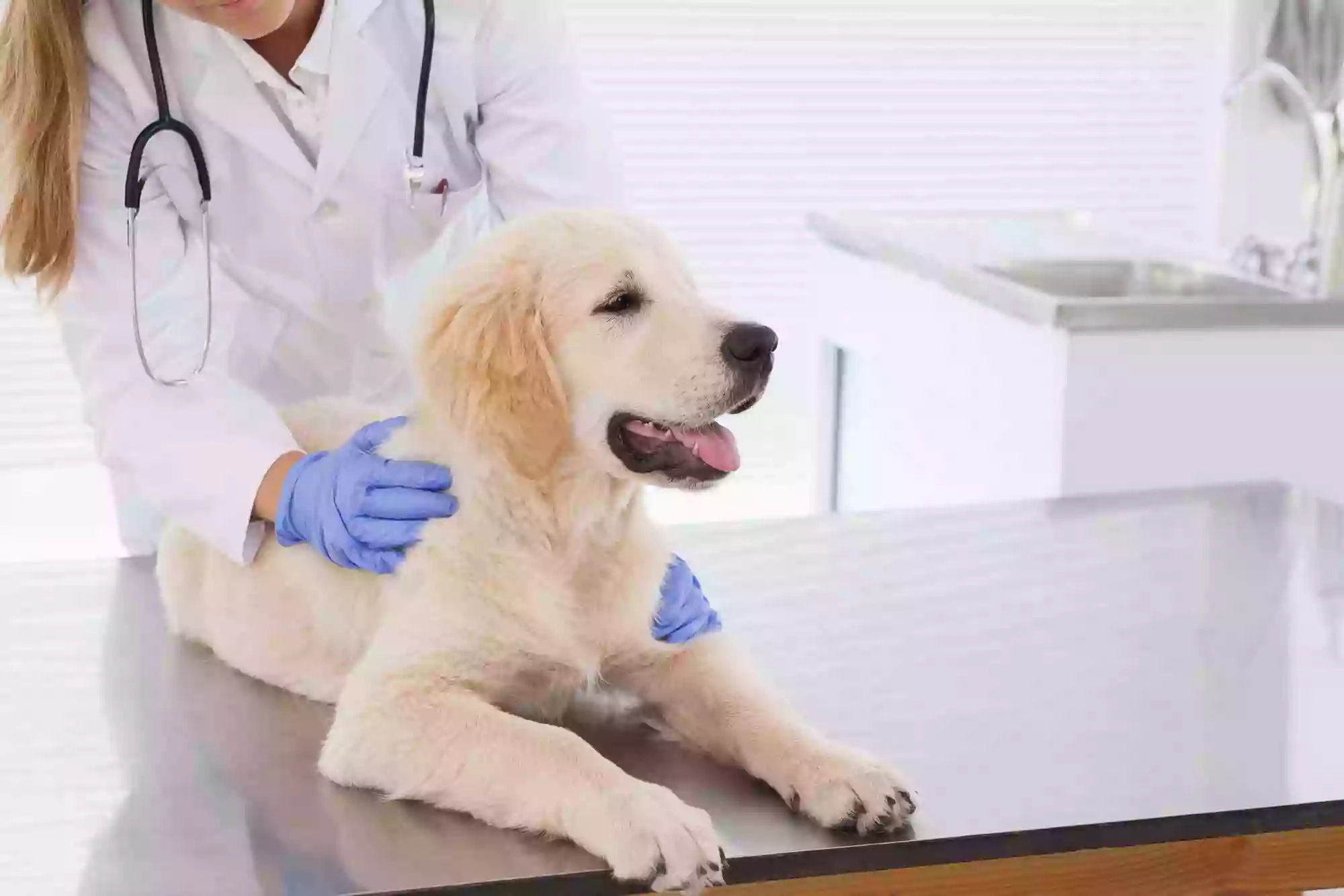 Cross Veterinary Clinic Ltd