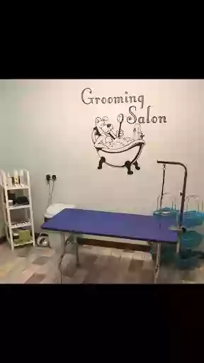 Dip & Dazzle Dog Grooming