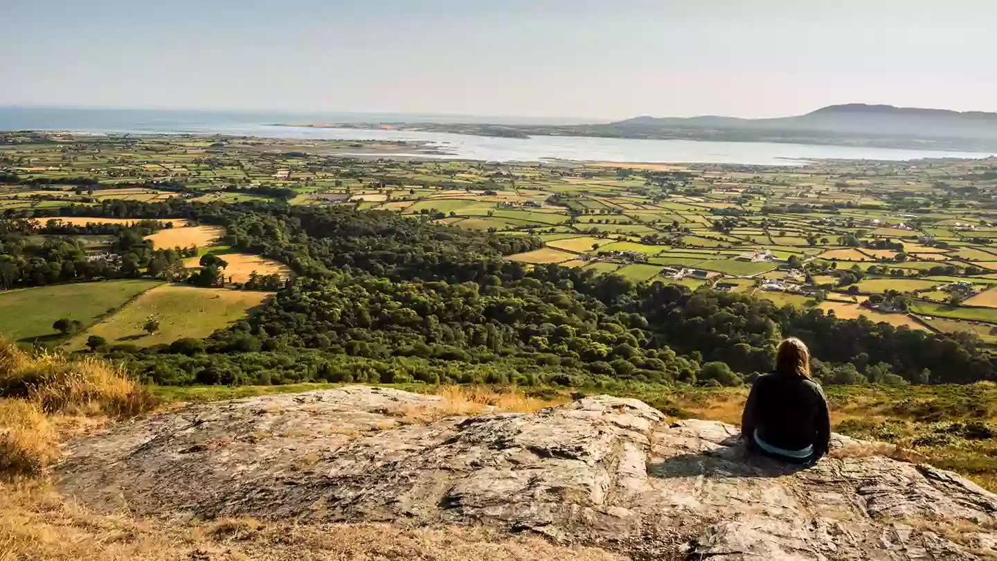 Mourne Park, Woodland Trust