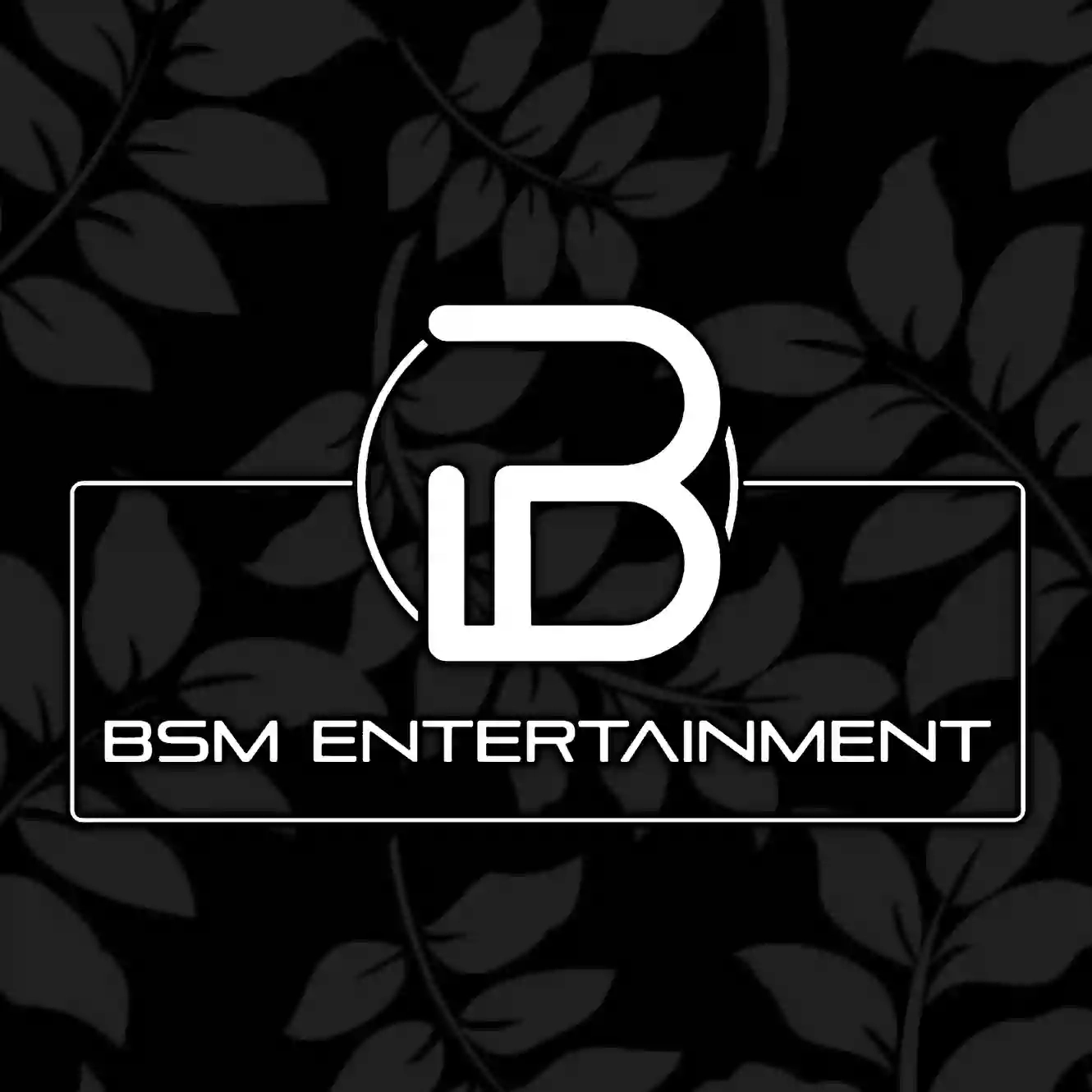 BSM Entertainment Ltd