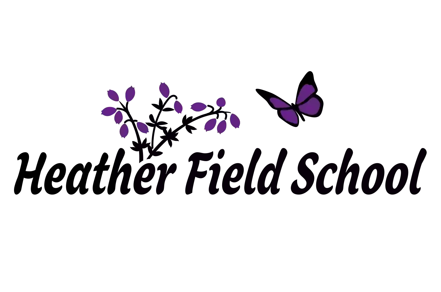 Lavender Field School