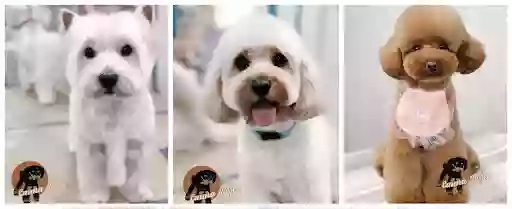 Emma Rose Pet Styling Professional Dog Groomer