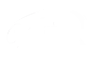 Vortex Cleaning