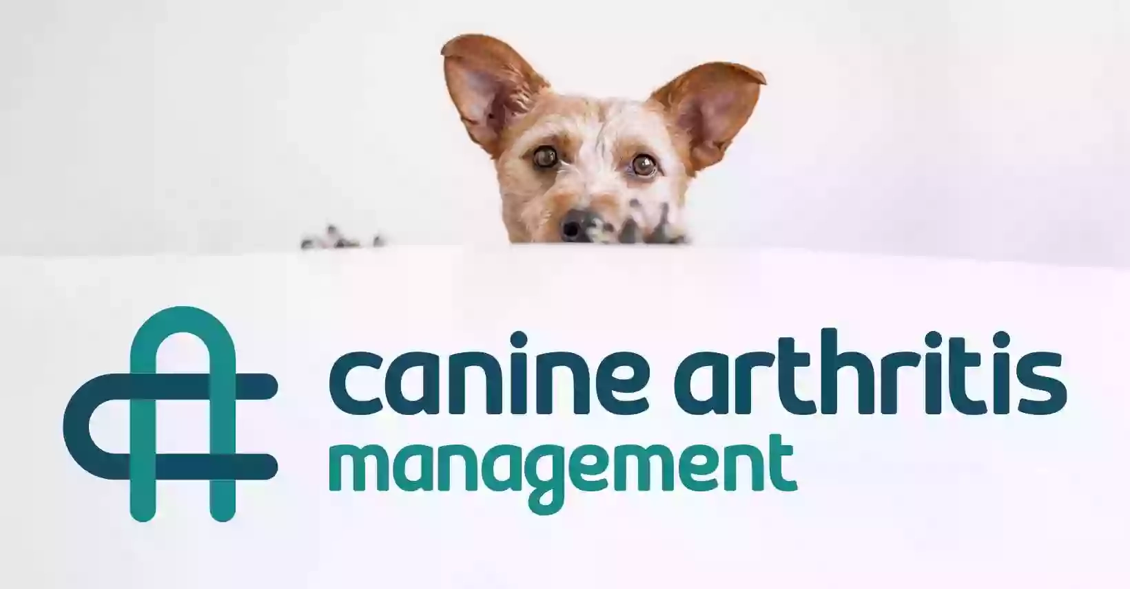 Canine Arthritis Management
