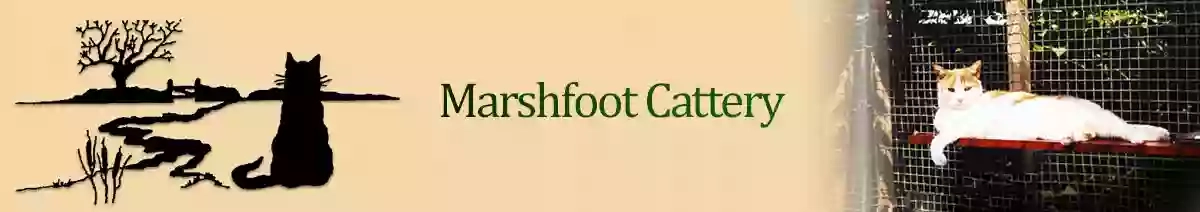 Marshfoot Cattery