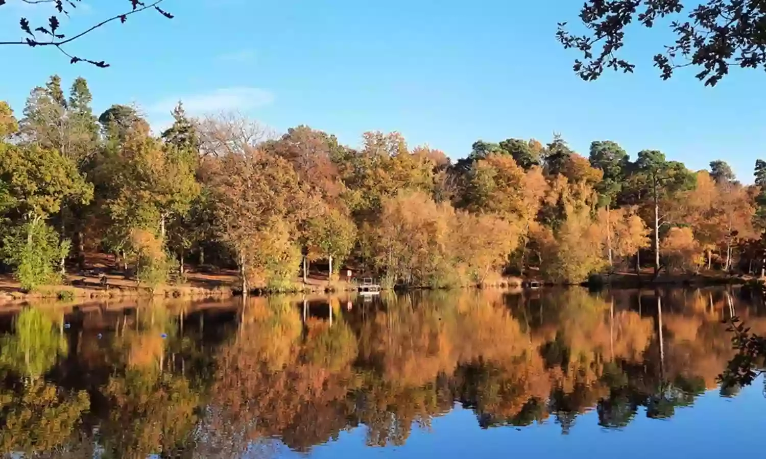 Buchan Country Park